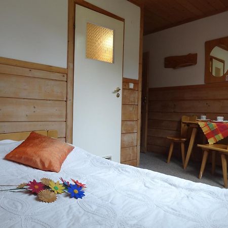 Camping Harenda Pokoje Goscinne I Domki زاكوباني المظهر الخارجي الصورة