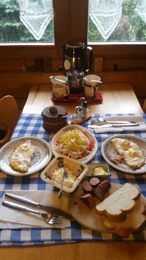 Camping Harenda Pokoje Goscinne I Domki زاكوباني المظهر الخارجي الصورة
