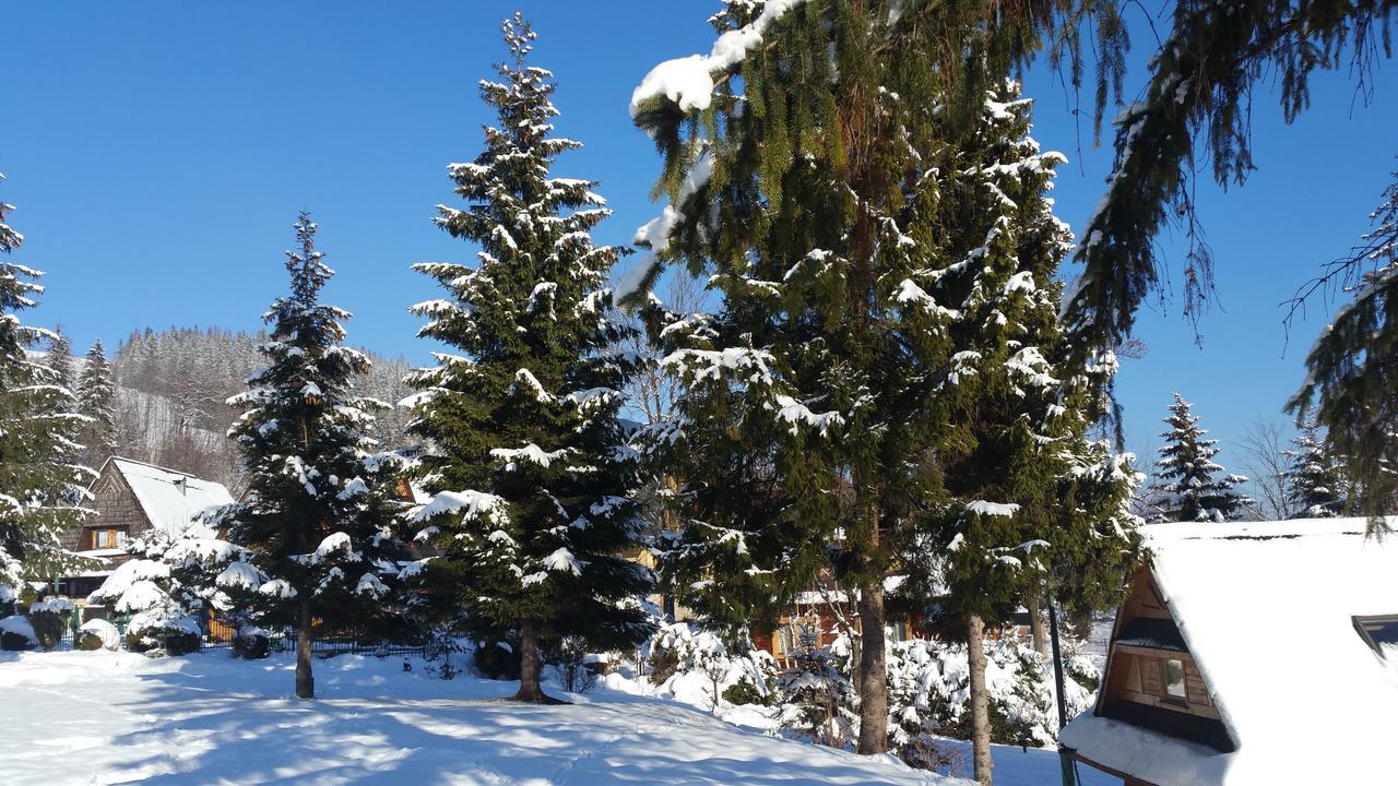 Camping Harenda Pokoje Goscinne I Domki زاكوباني المظهر الخارجي الصورة