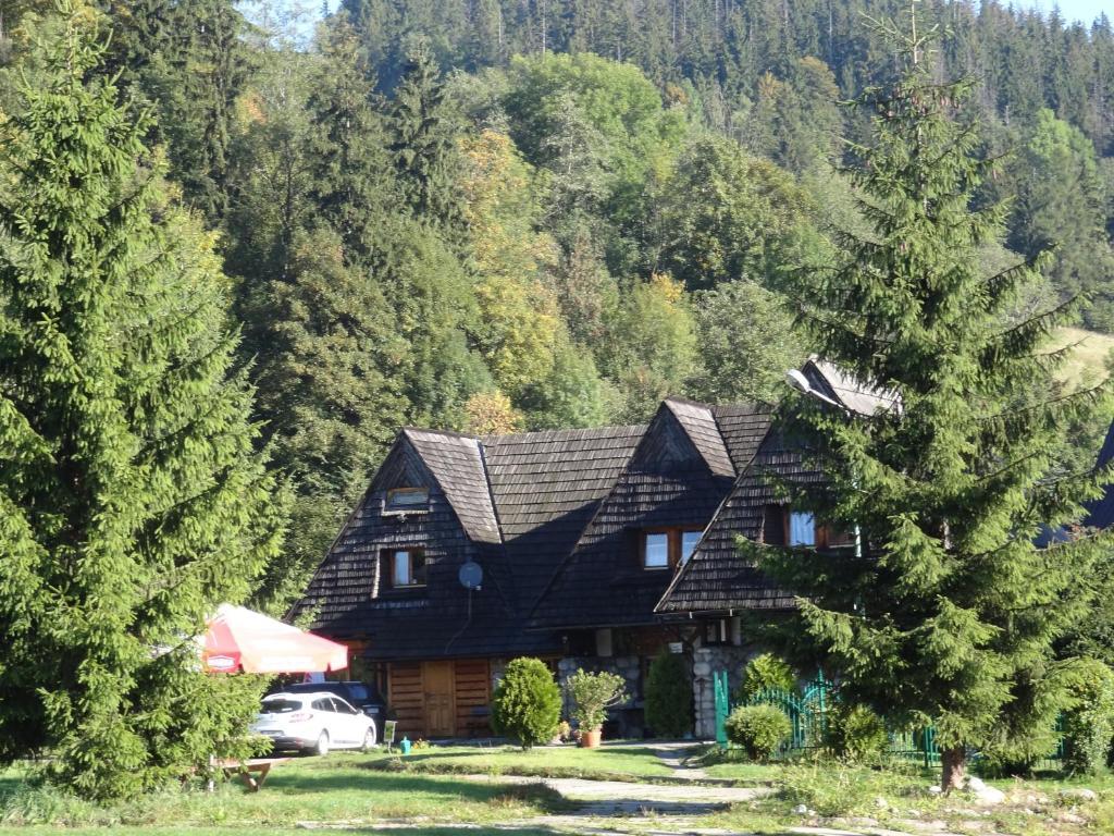 Camping Harenda Pokoje Goscinne I Domki زاكوباني الغرفة الصورة