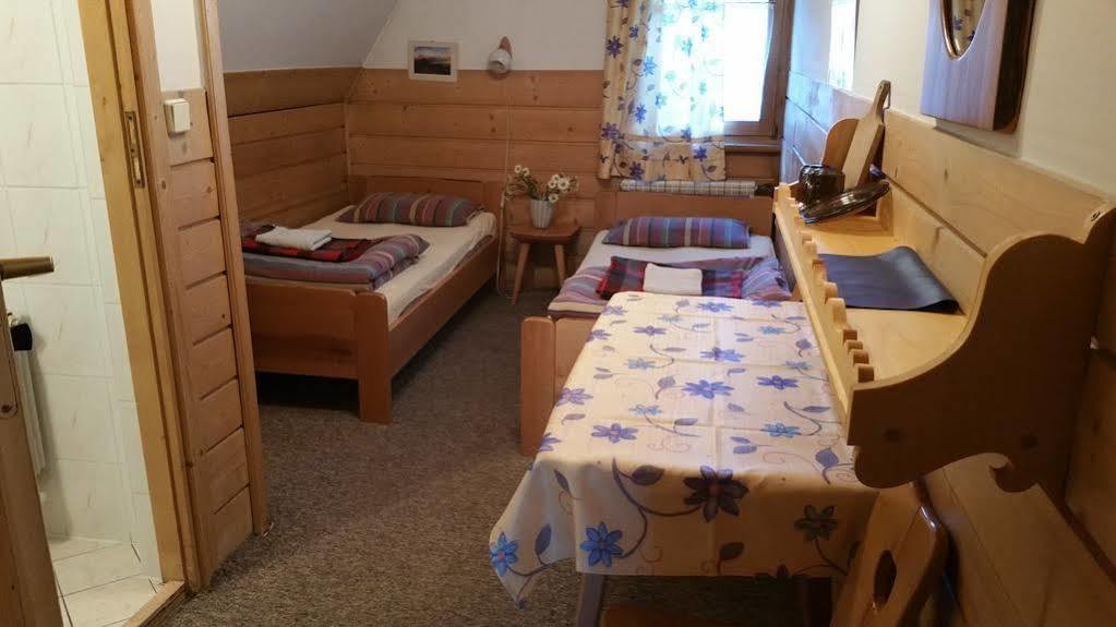 Camping Harenda Pokoje Goscinne I Domki زاكوباني المظهر الخارجي الصورة